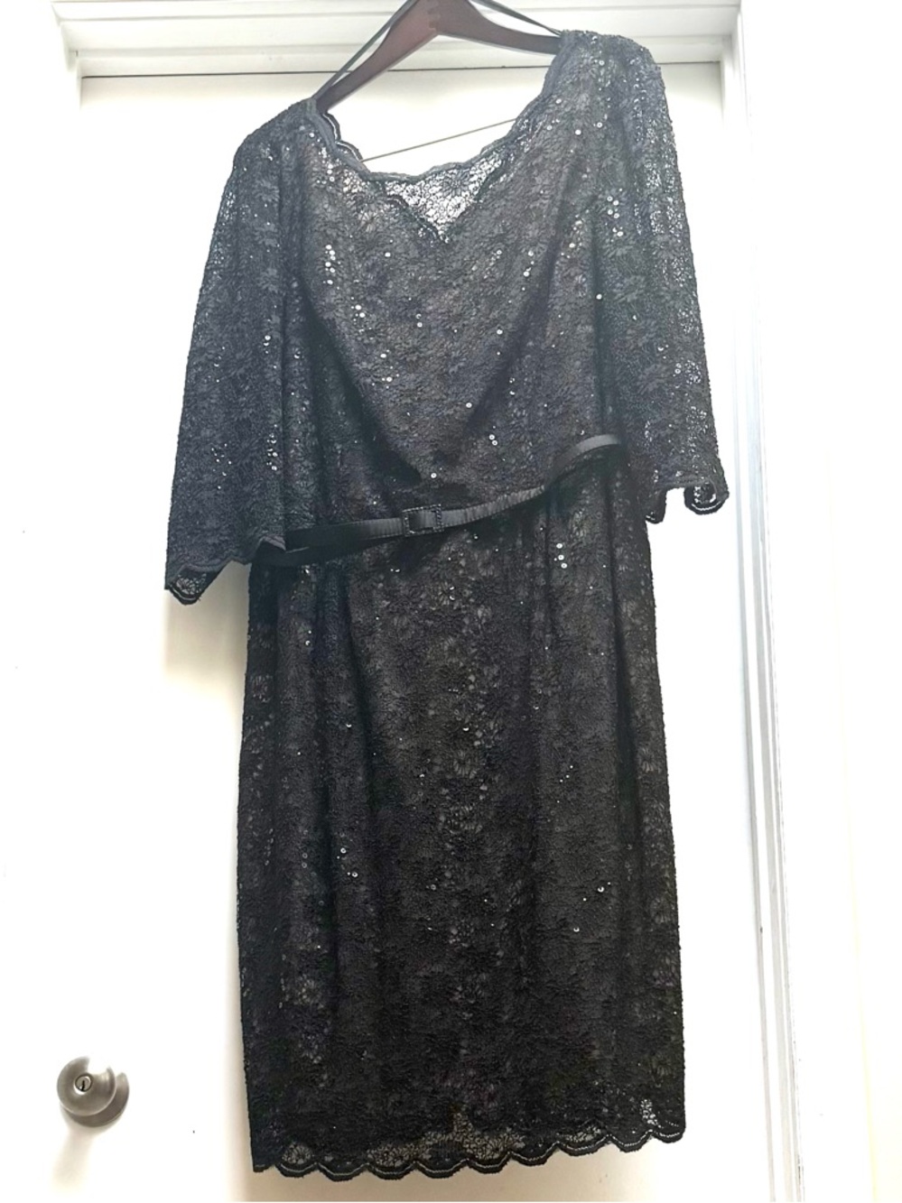 Alex Evenings Belted Lace Sheath Dress